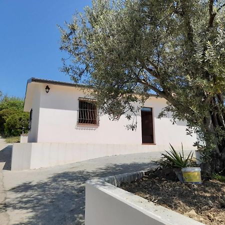 Villa Paradiso Монтеджордано Екстериор снимка