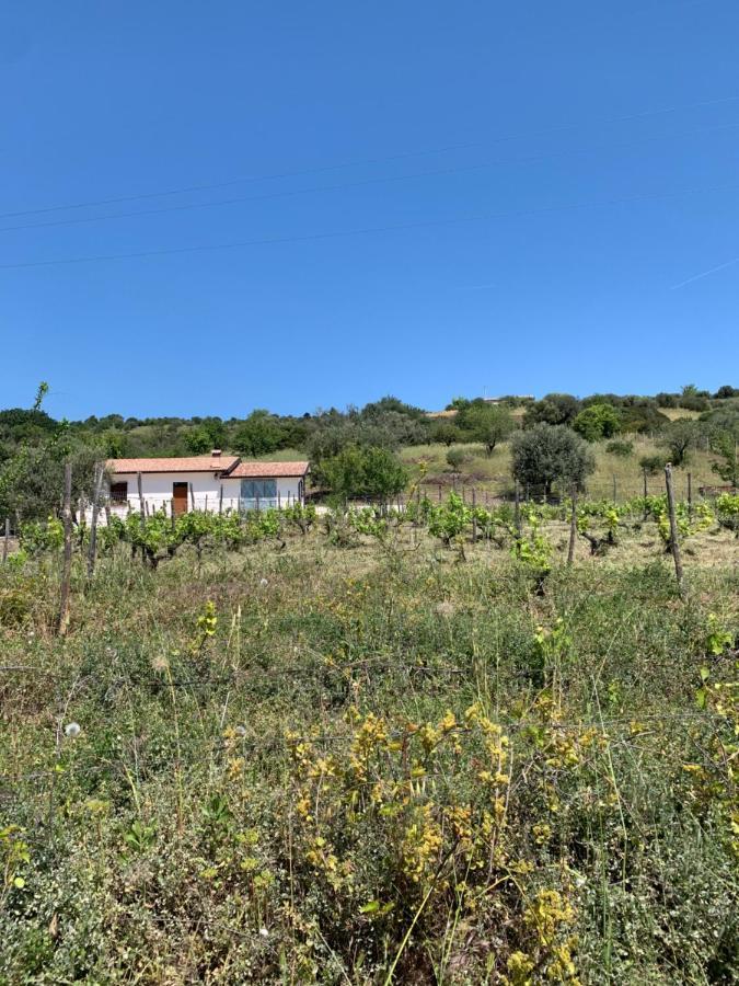 Villa Paradiso Монтеджордано Екстериор снимка