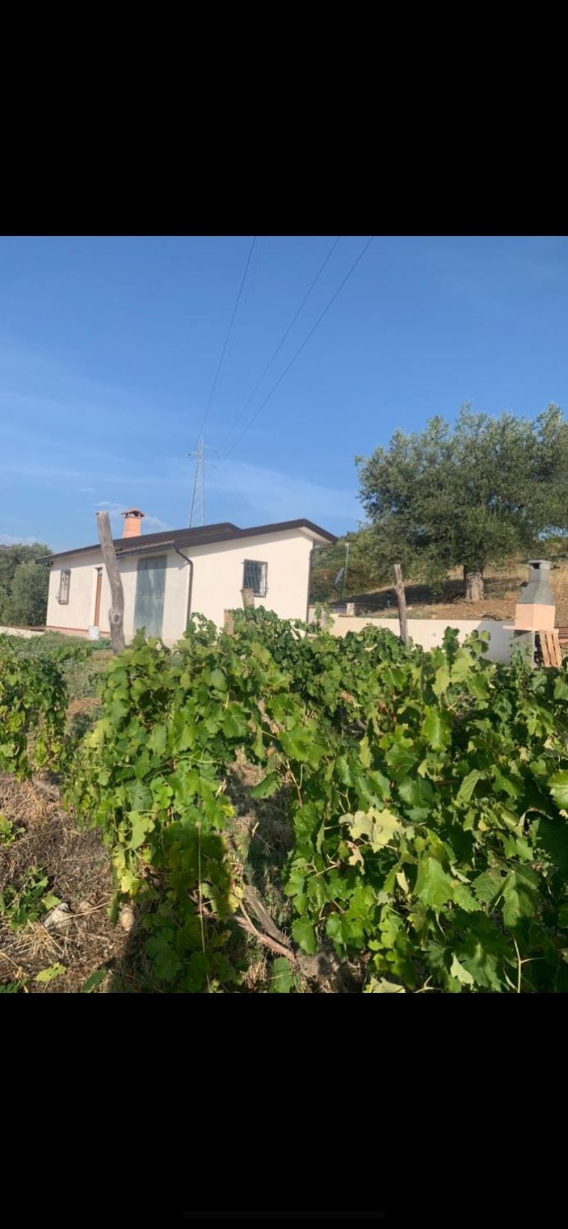 Villa Paradiso Монтеджордано Екстериор снимка